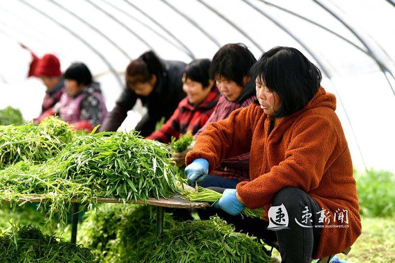 Artemisic farming methods