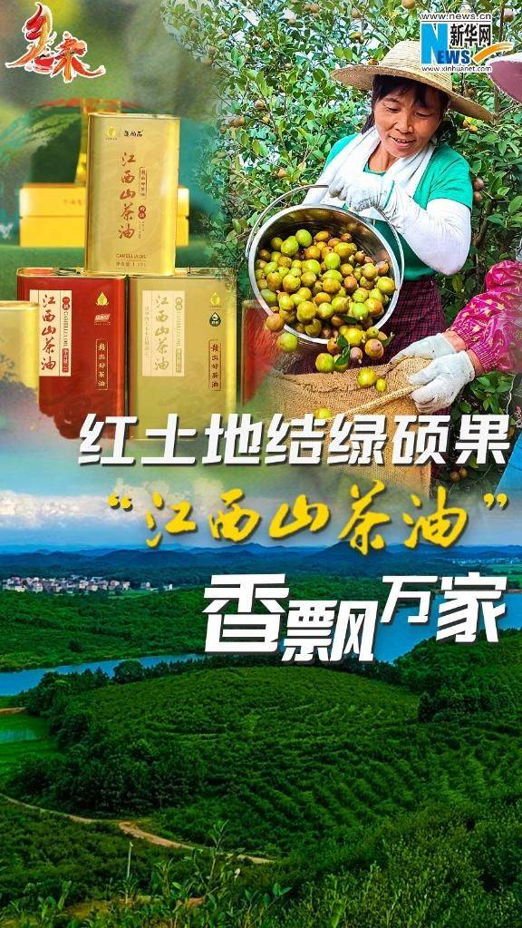 Technology for mountain tea and oil plantations