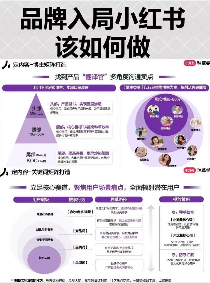 seo攻略——搜索引擎优化策略与实战案例详解