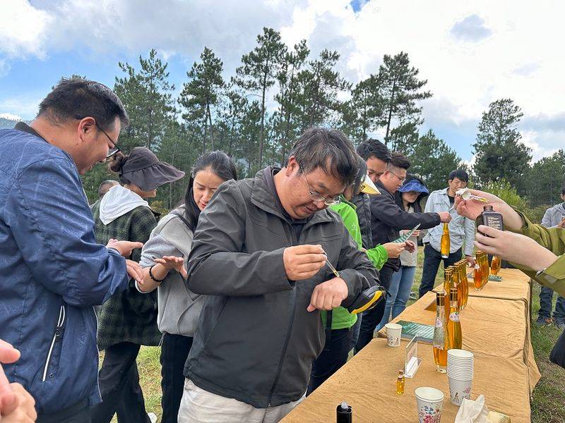 云南牡丹种植技术