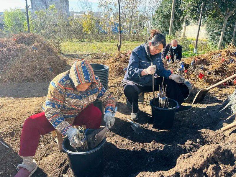 Yunnan police plant technology