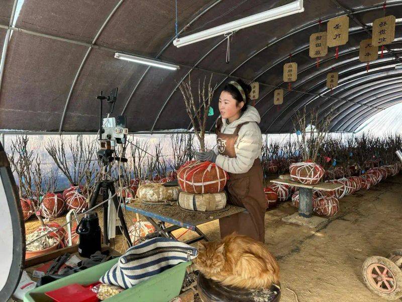 Yunnan police plant technology
