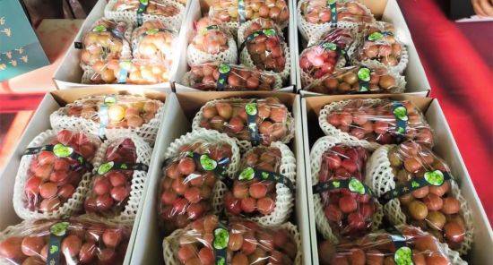 The way rose grapes grow