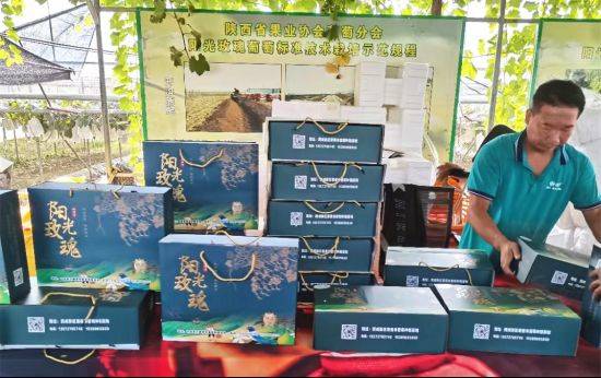 The way rose grapes grow