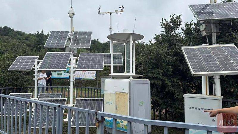 Technology for mountain tea and oil plantations