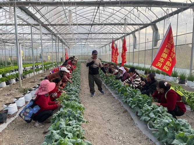 Training course on nursery cultivation techniques