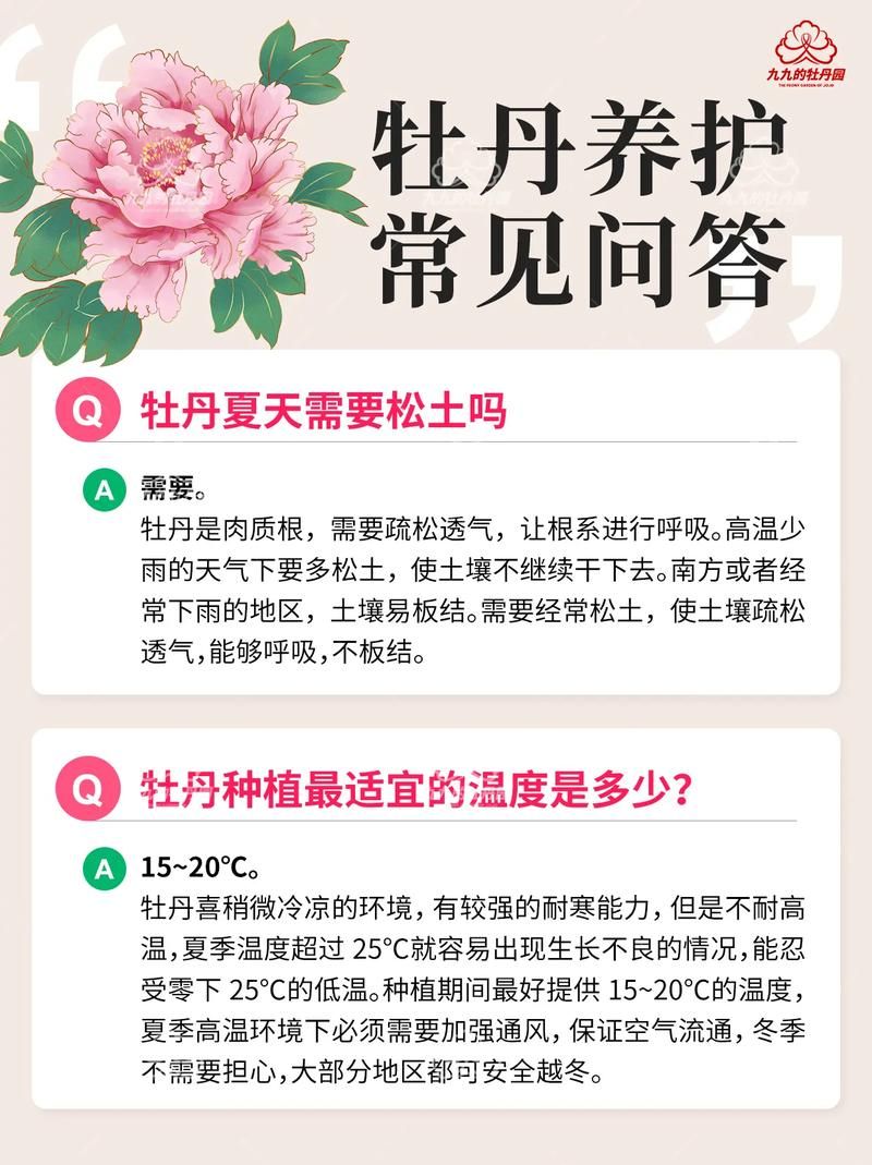 云南牡丹种植技术