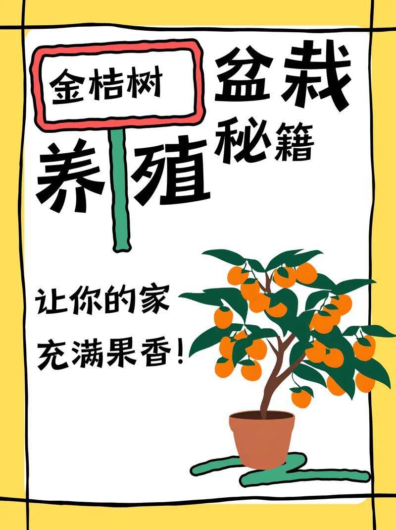 The method of planting the money orange pelvis