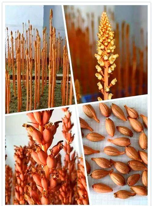 Technological aspects of milling