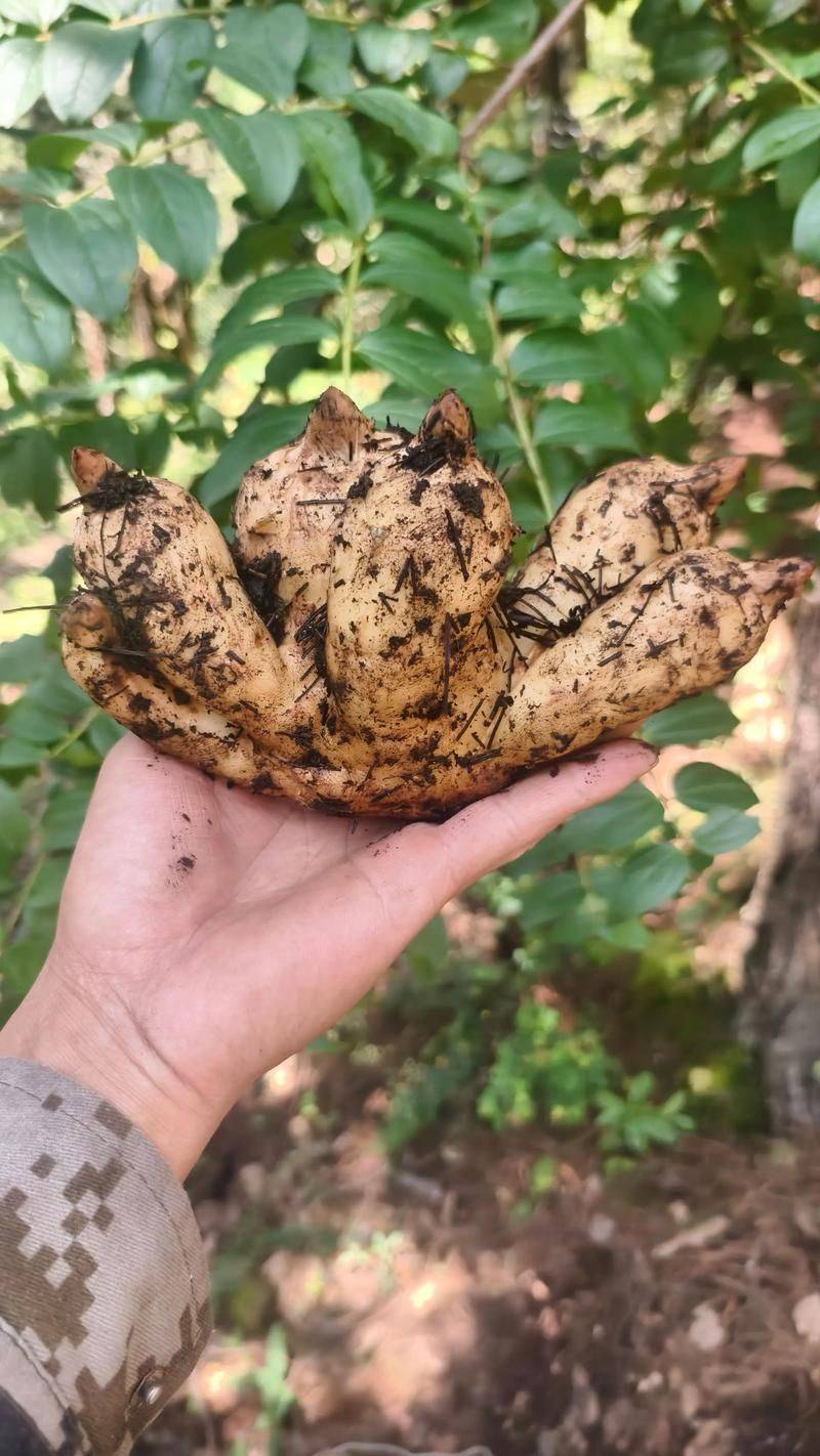 Technological aspects of milling