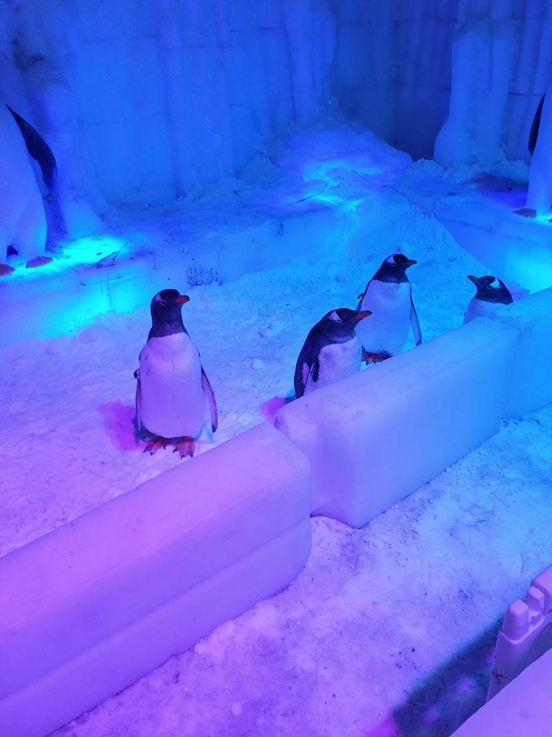 Computer scientific knowledge system