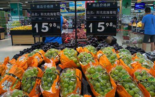 玫瑰香葡萄的种植方法