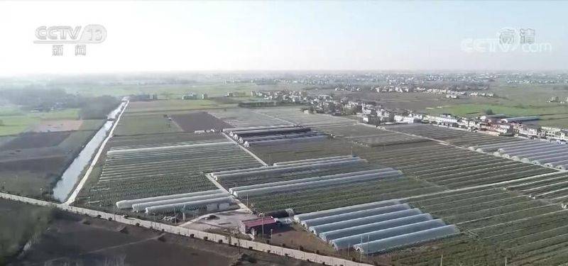 Artemisic farming methods