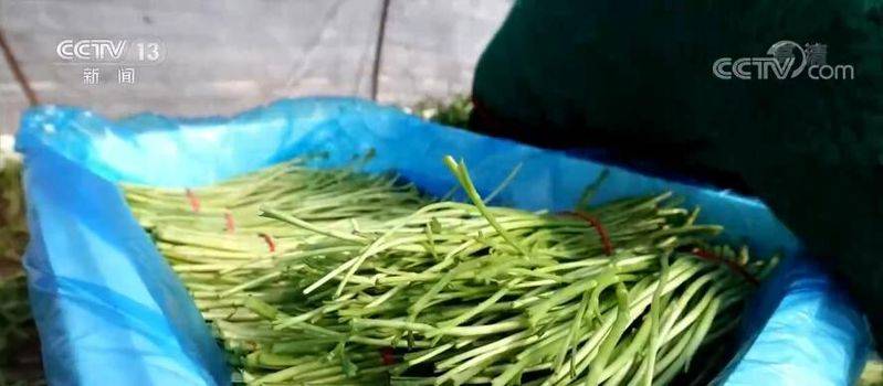 Artemisic farming methods