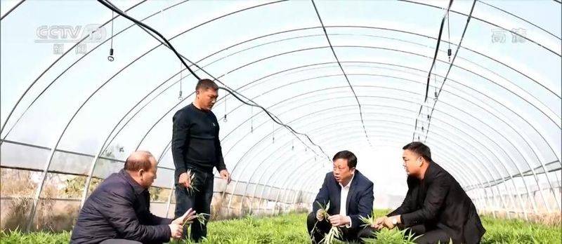 Artemisic farming methods