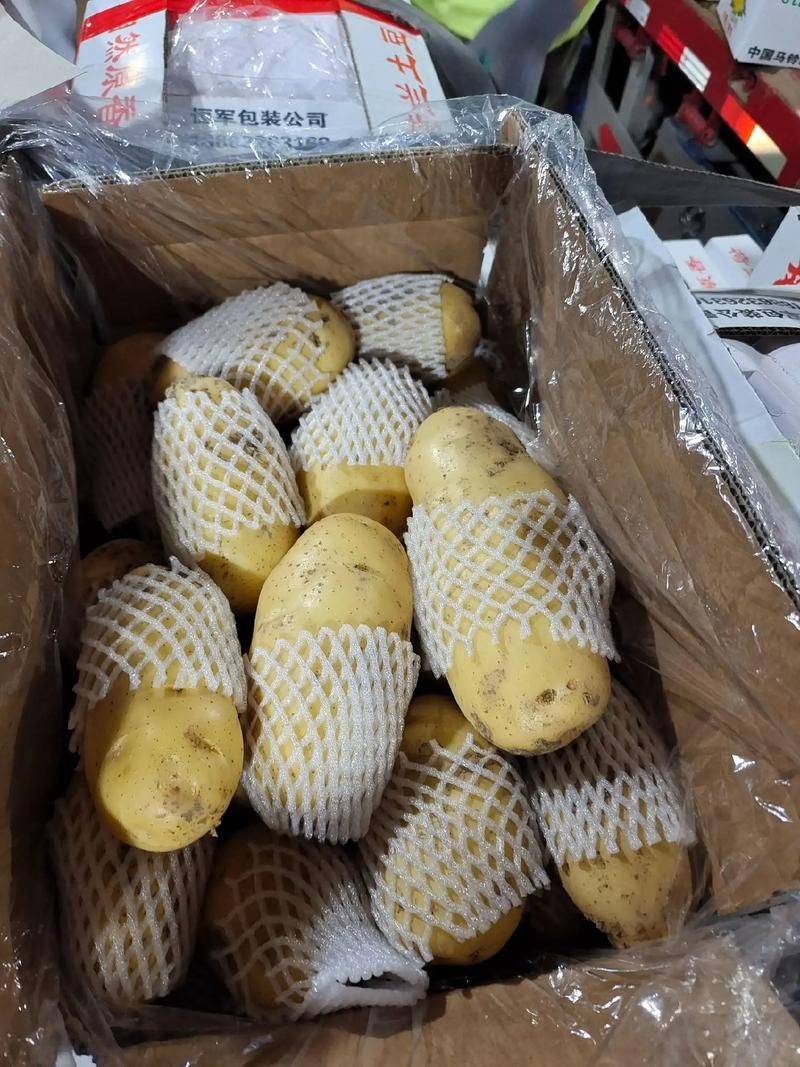 Tamzhou potato cultivation technology