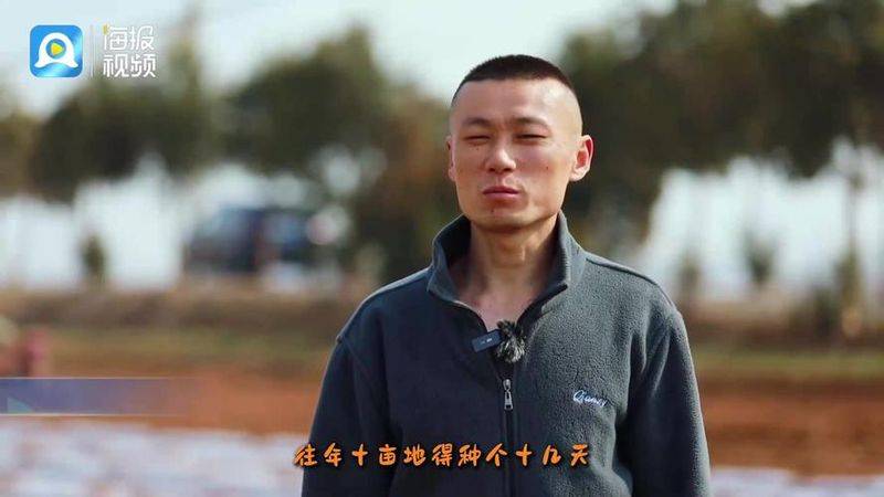 Tamzhou potato cultivation technology