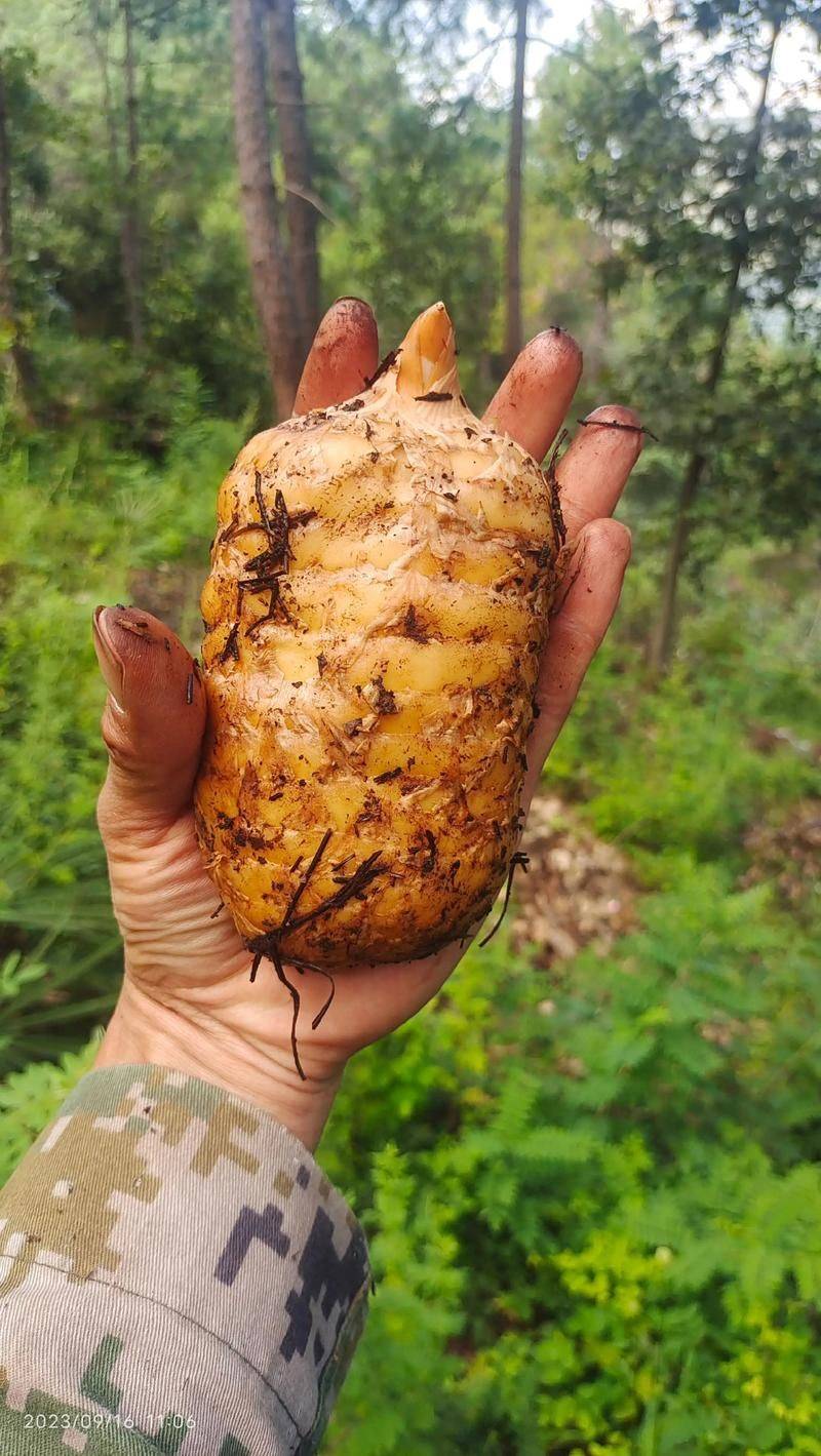 Technological aspects of milling