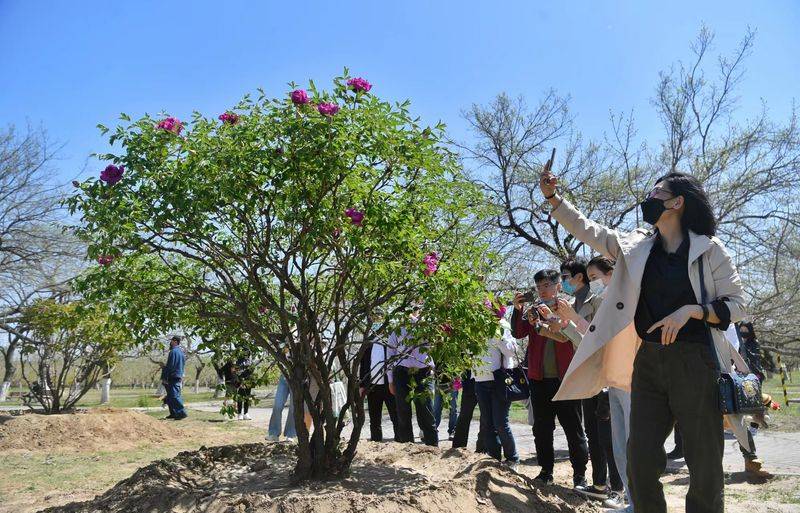 Pyramid planting methods