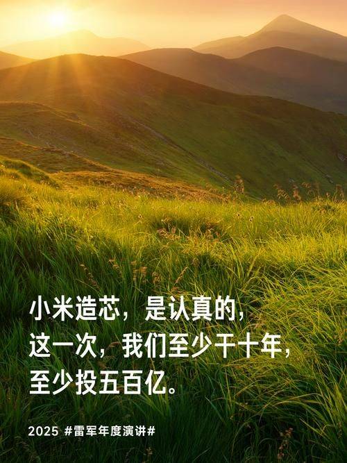 小米移动电源销售策划方案及术语