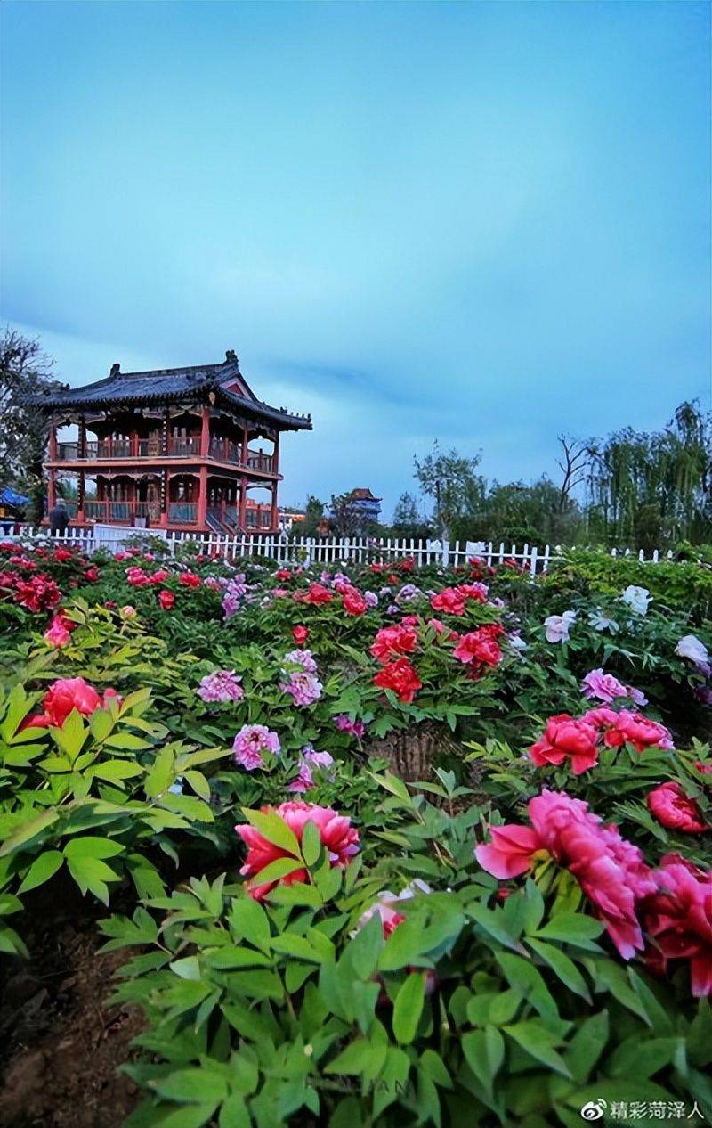 Pyramid planting methods