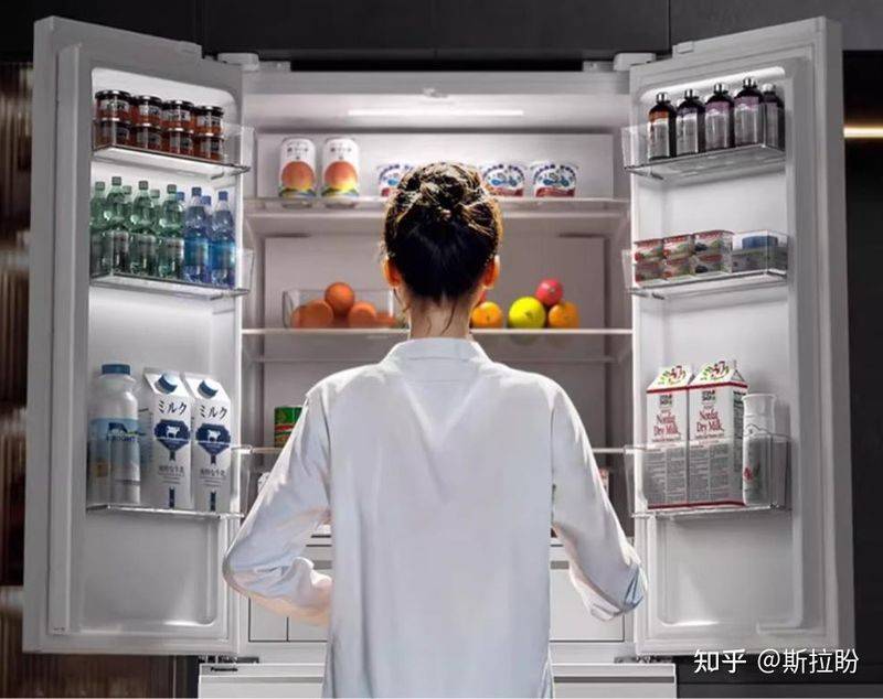 Refrigerator freezer maintenance