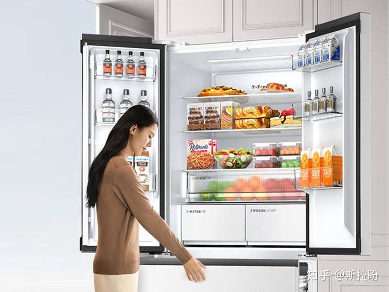 Refrigerator freezer maintenance