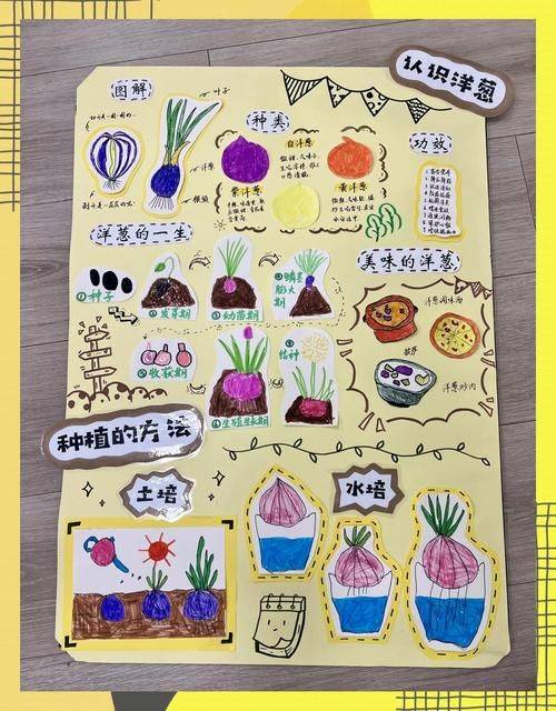 Time and method of onion cultivation