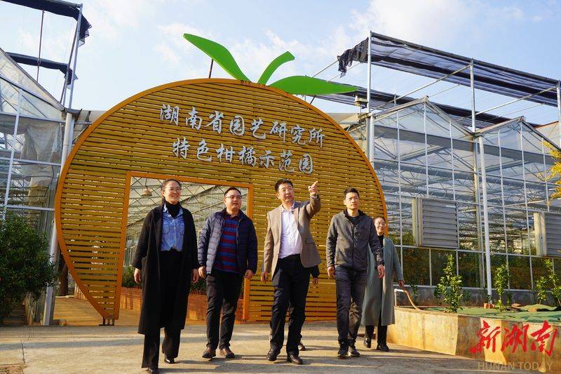 湖南适合种植什么水果