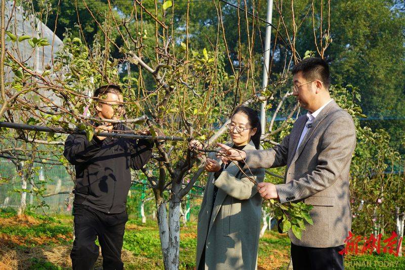 湖南适合种植什么水果