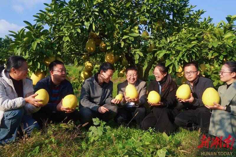 湖南适合种植什么水果