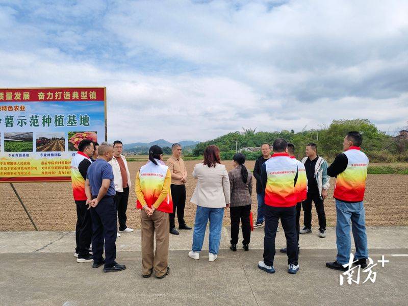 马铃薯双垄种植技术