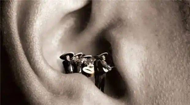 Sound fever, audition, experience