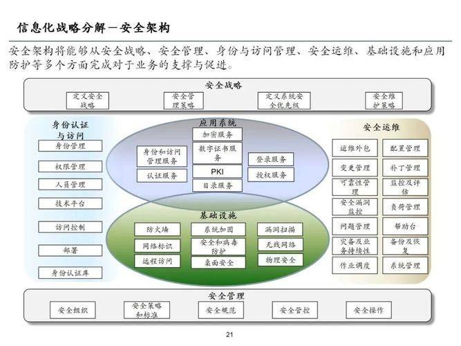 cio知识体系指南 pdf