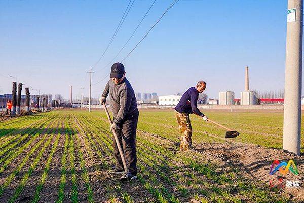 科学种植和养殖方法