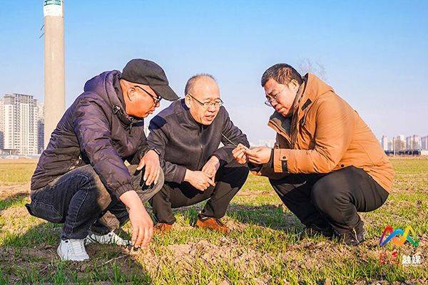科学种植和养殖方法