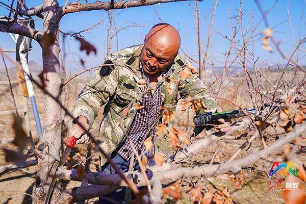 科学种植和养殖方法