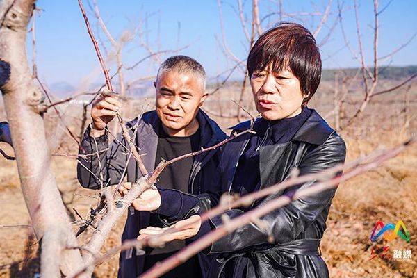 科学种植和养殖方法