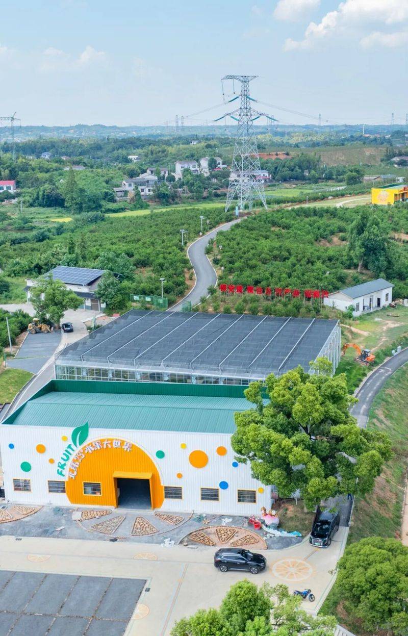 What kind of fruit does hunan grow