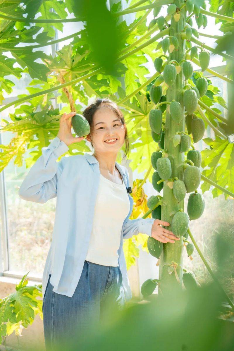 What kind of fruit does hunan grow