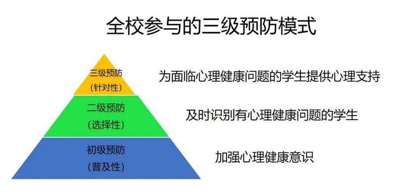 Mental health education literacy
