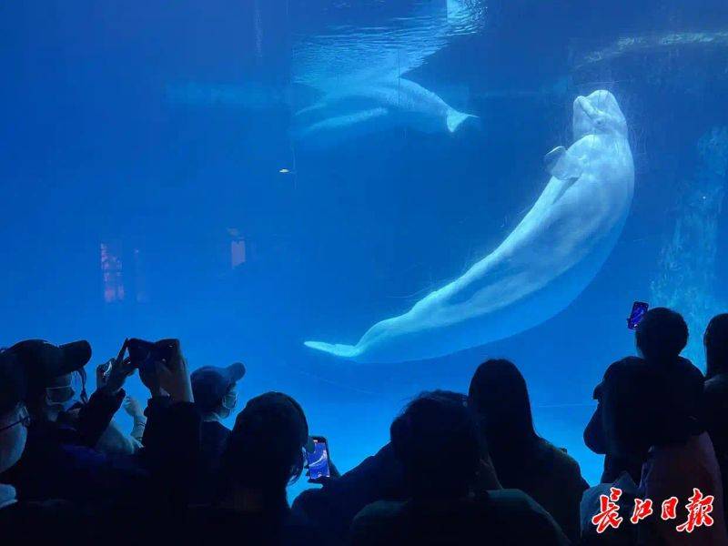 Chengdu polar sea world fare