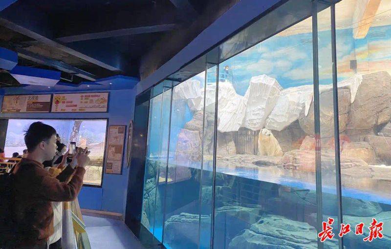 Chengdu polar sea world fare