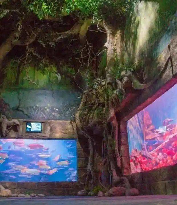 Chengdu polar sea world fare