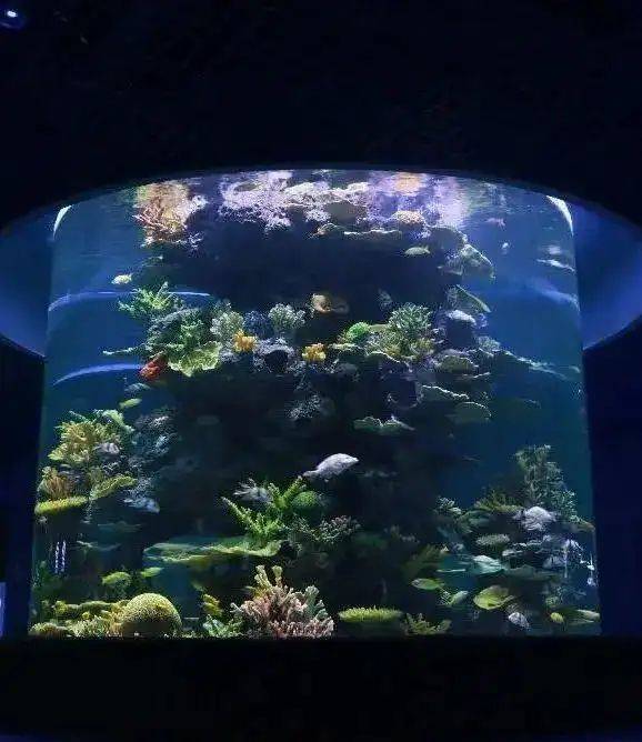 Chengdu polar sea world fare