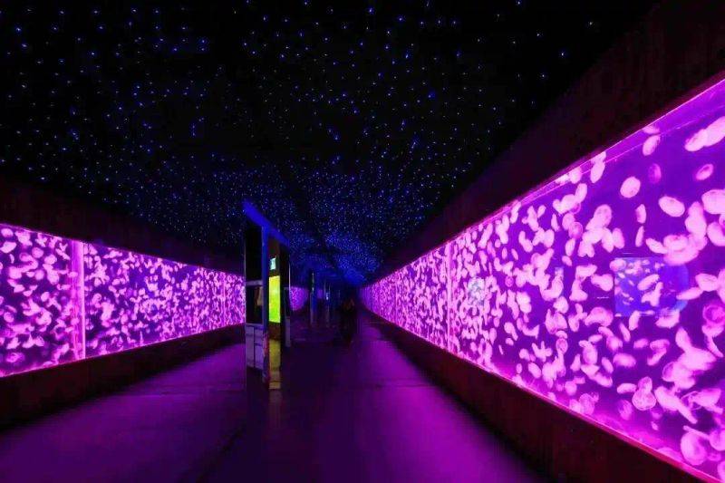 Chengdu polar sea world fare