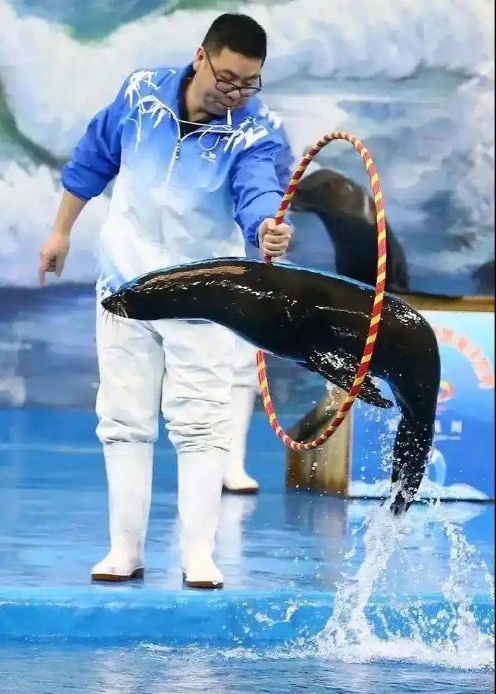 Chengdu polar sea world fare