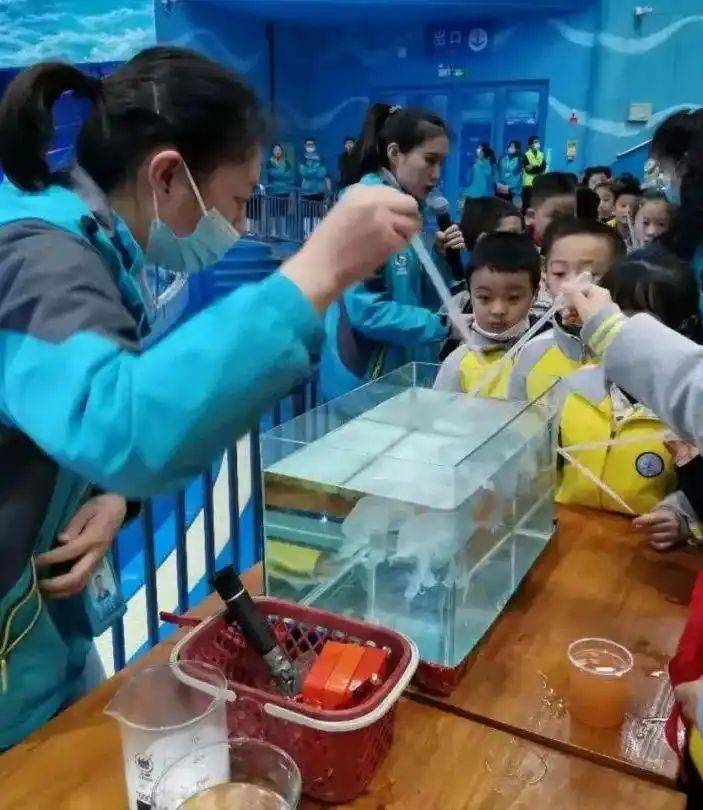 Chengdu polar sea world fare