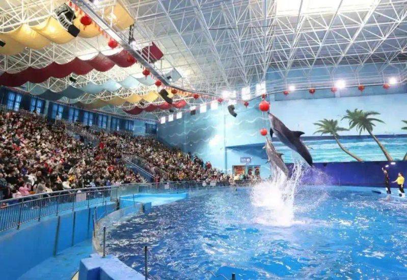 Chengdu polar sea world fare