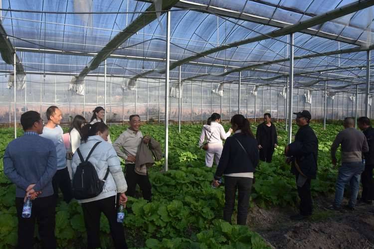 Training course on nursery cultivation techniques